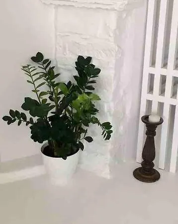 Sao Smallport Paros 公寓 *