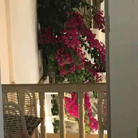 公寓 Sao Smallport Paros